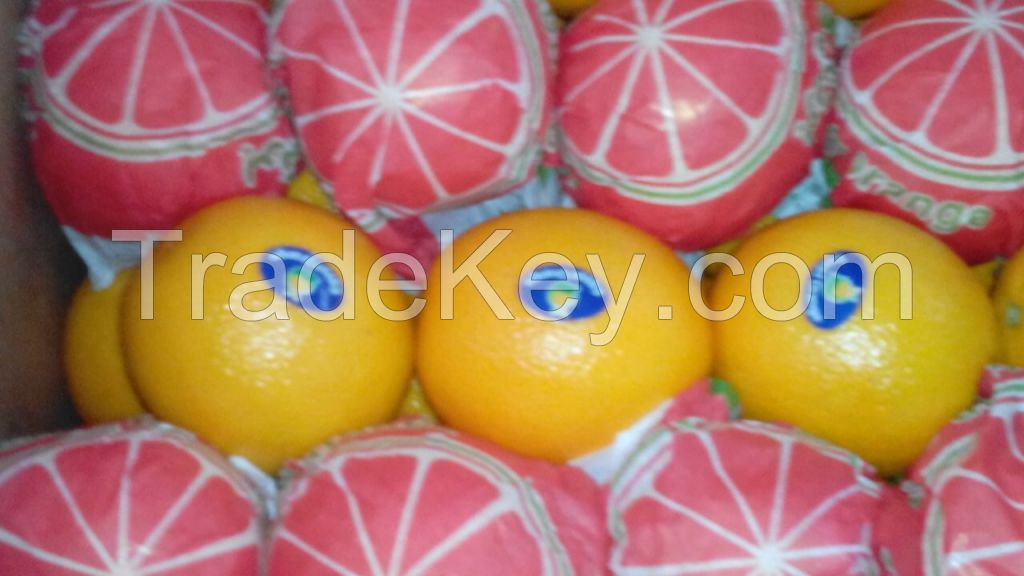 Fresh Valencia Orange