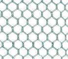 chain link fence,hexagonal mesh