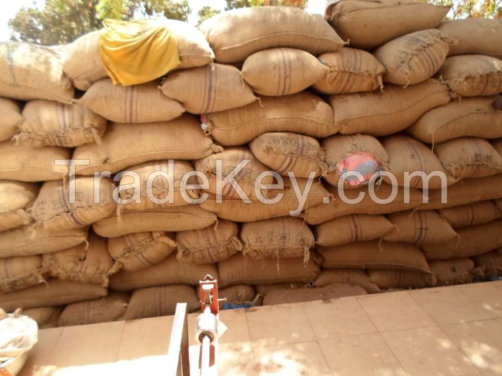 Raw cashew nuts for sale in Large quality