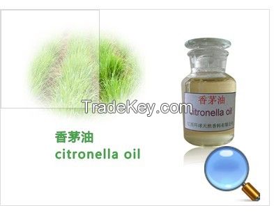 Citronella Oil