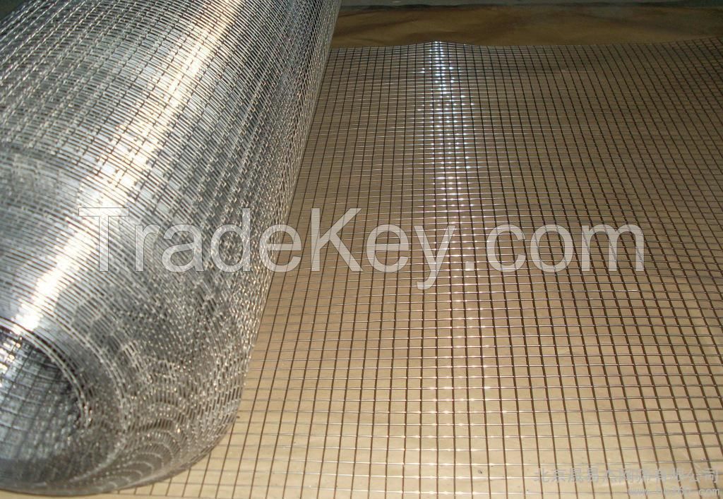 Welded Wire Mesh