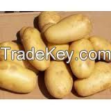 Potato &amp; Others Agricultural goods