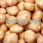 Potato & Others Agricultural goods