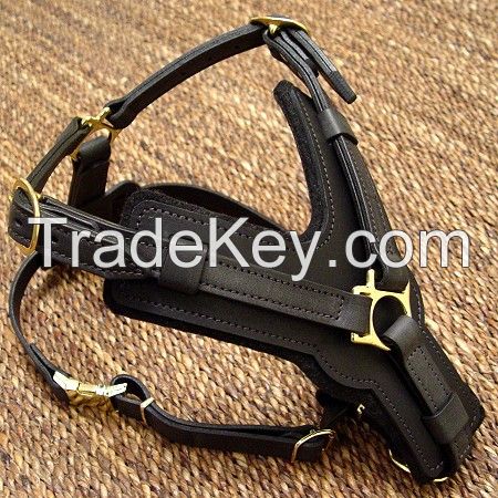 Handmade Cowhide Leather dog collars