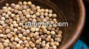 Coriander seed