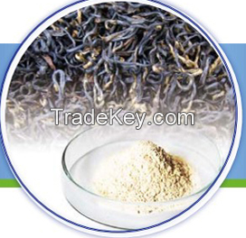 Black Tea Extract