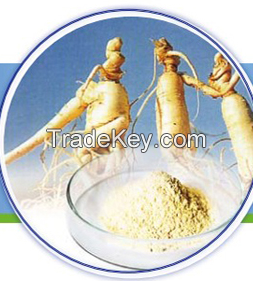 Ginseng Extract