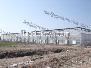 Multi span film greenhouse