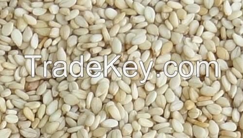 100% natural hulled and unhulled Sesame Seed and Oil