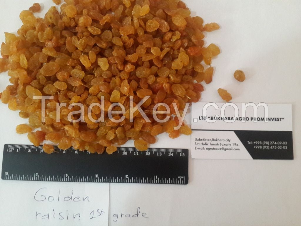 raisins from Uzbekistan