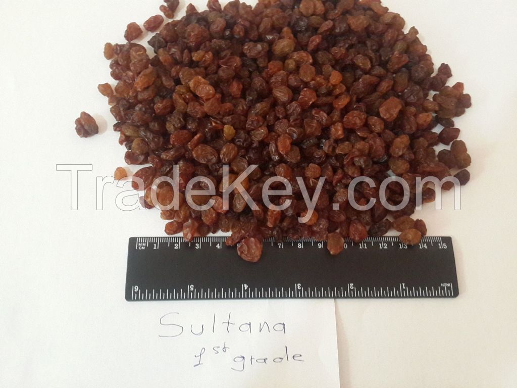 raisins from Uzbekistan
