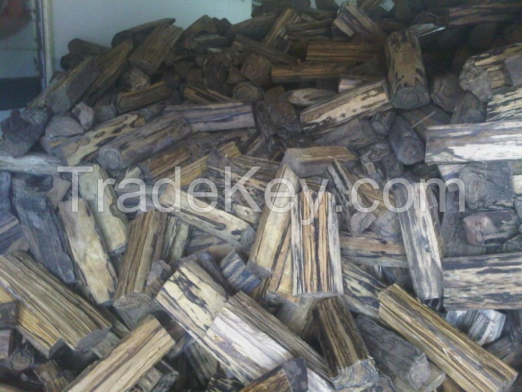 Agarwood