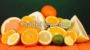 FRESH CITRUS FRUITS