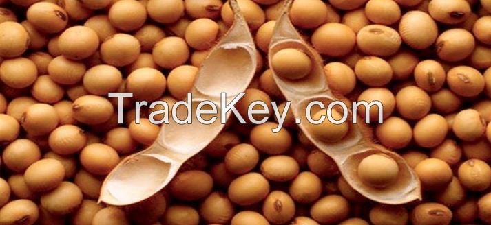 Soybeans