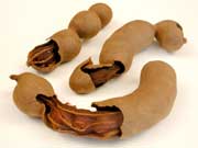 Tamarind