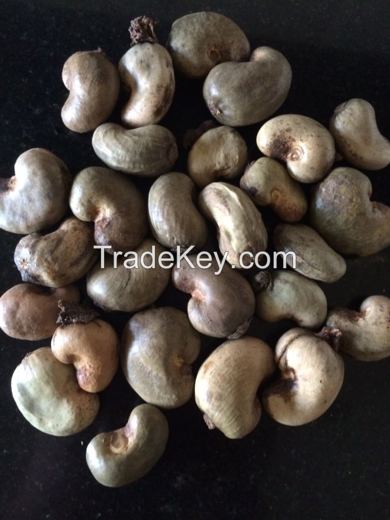 Raw cashews from Africa ( Tanzania, Benin, Ivory Coast )