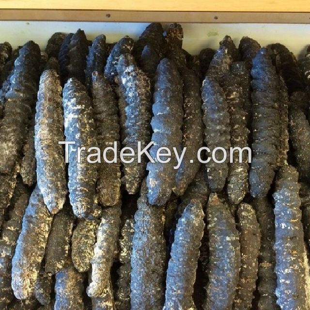 DRY SEA CUCUMBER 