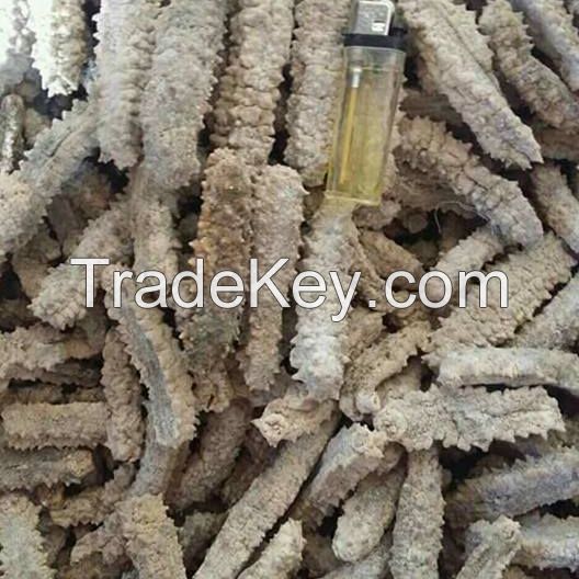 DRY SEA CUCUMBER 