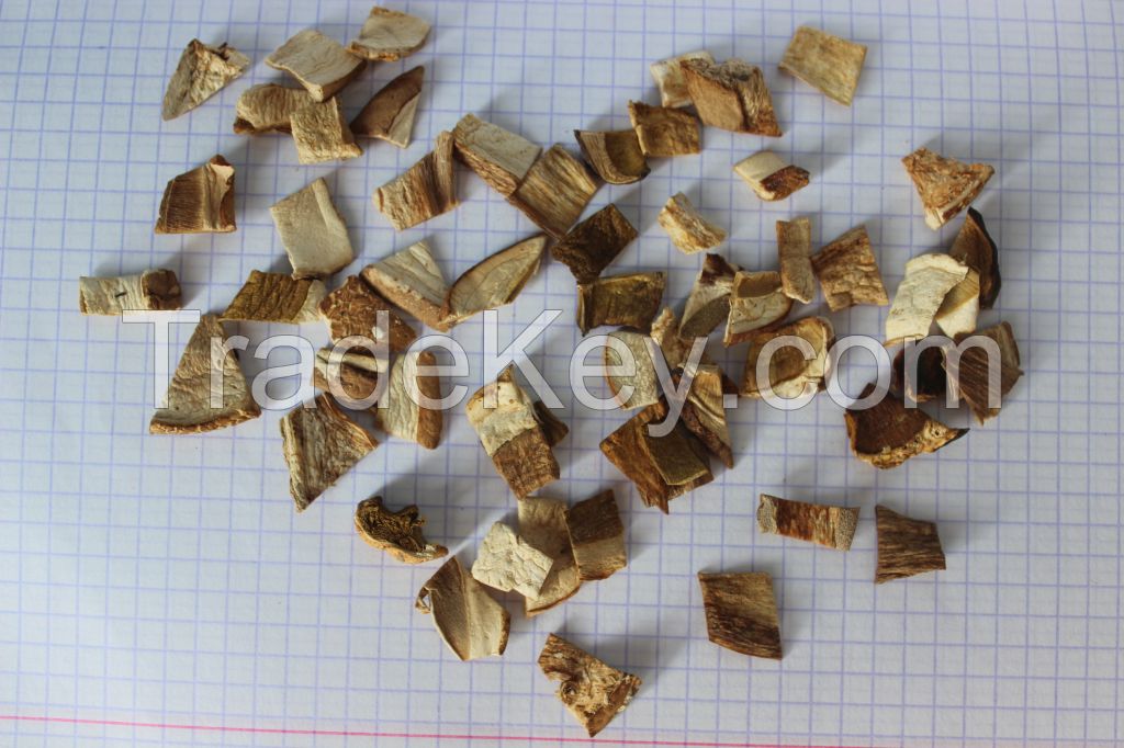 Boletus edulis,Mushrooms crushed, dry white mushrooms fraction ,