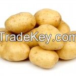 Fresh Potatoes