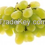 Fresh Grapes