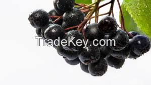 Aronia juice 100% organic