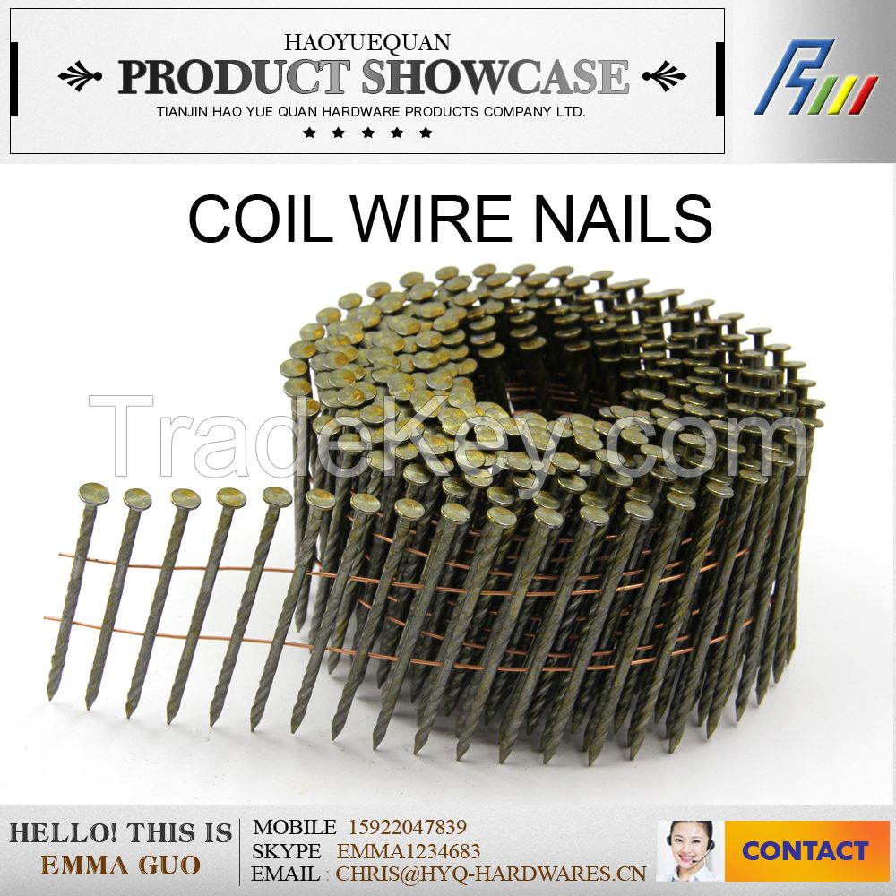 Q195 coil ware nails made in china factory, cap volume nail, pallet coil nails