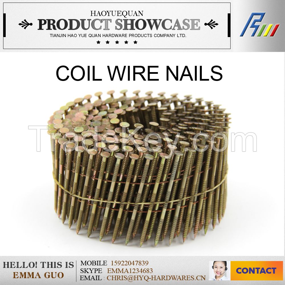 Q195 coil ware nails made in china factory, cap volume nail, pallet coil nails