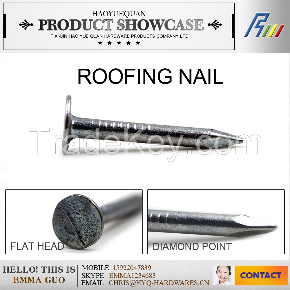 high quality Q195 roofing nail made in china, clout nail from china factory