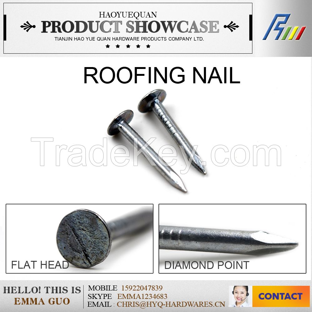 high quality Q195 roofing nail made in china, clout nail from china factory