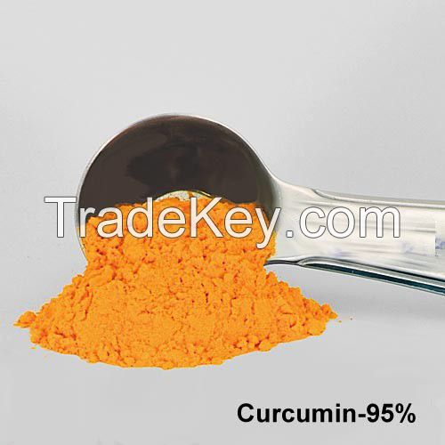 Natural Turmeric Root Extract Powder/Curcumin
