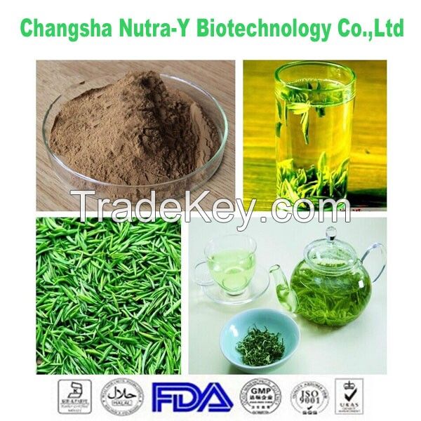 Natural Green Tea Extract