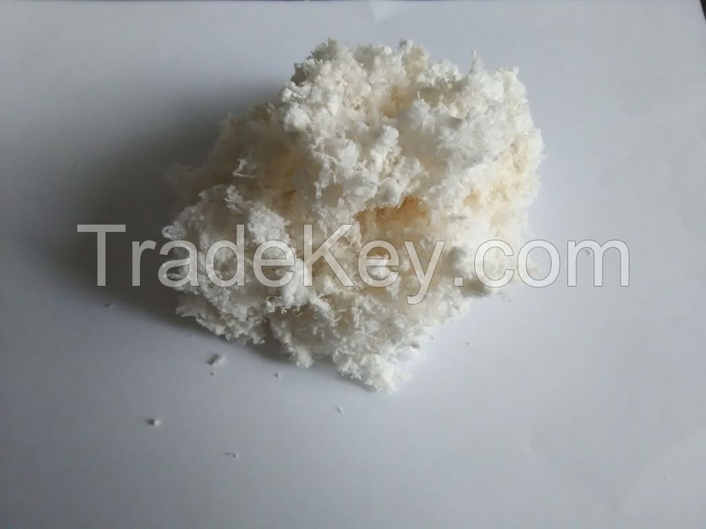 DEAE-L52Â cellulose