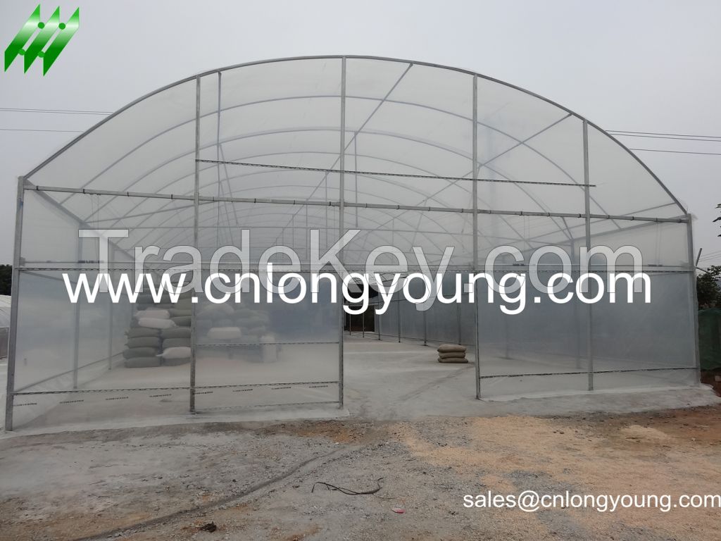 Single Tunnel Greenhouse on Sale