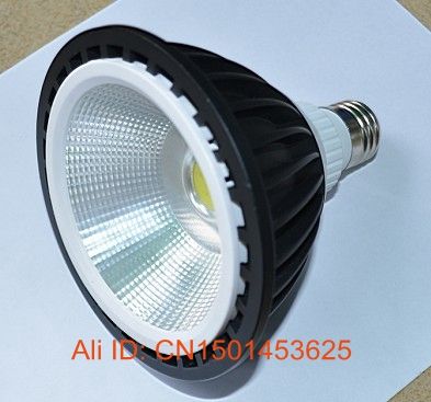 LED Par30  Light COB 15W