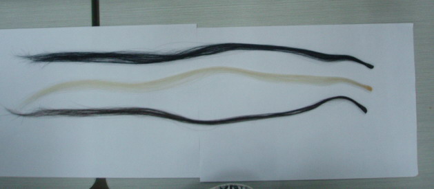 QINGDAO hair extension