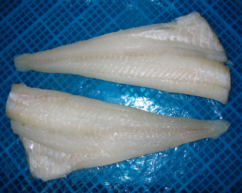 Frozen Pacific Cod Fillet