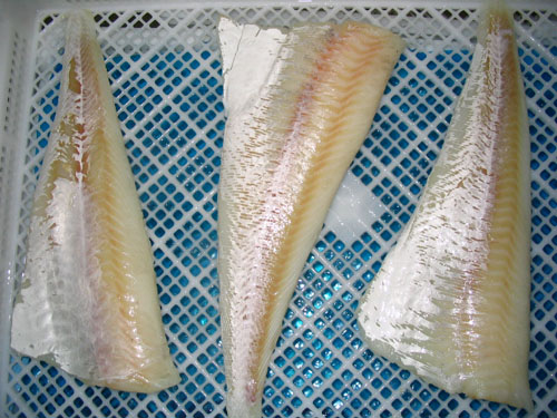 Frozen Alaska Pollock Fillet