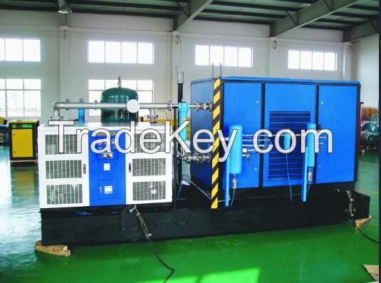 Non-Standard Customized Stationary Screw Air Compressor