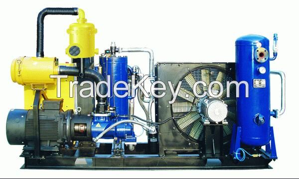 Non-Standard Customized Stationary Screw Air Compressor