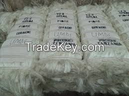 Sisal Fibers