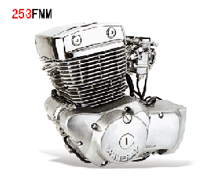 250cc Motorcycle Engine(double-cylinder)