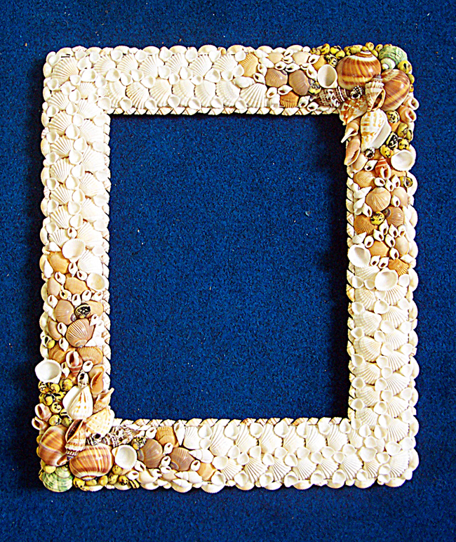 seashell frame