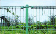 Protection Netting,Fence,Diamond Wire Mesh,Edging,Protecting Fence