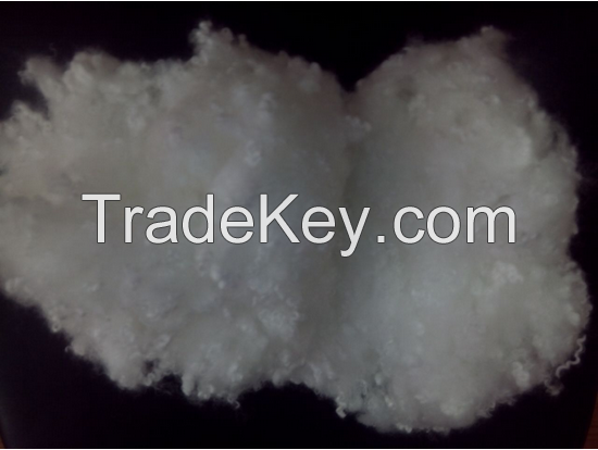 polyester fiber hollow conjugated siliconized