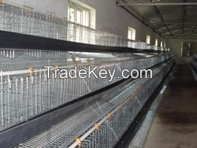 high quality and cheap galvanized welded chicken cage wire mesh 