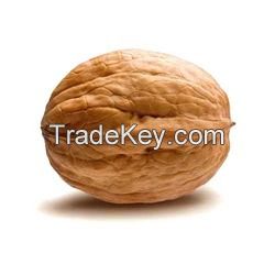 WALNUTS