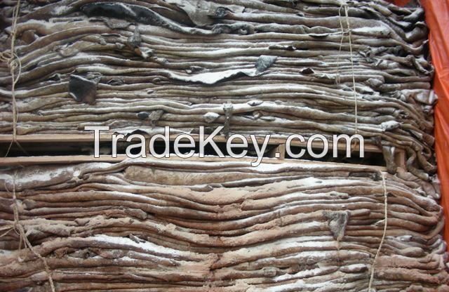 Dried and Wet Salted Hides and Skin for Cow, Sheep, Horse, Donkey and Goat