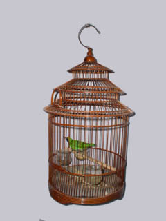 Suspended bird cages