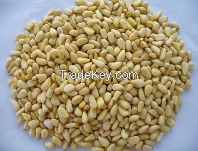 Pine nuts kernels for sale ,without shell